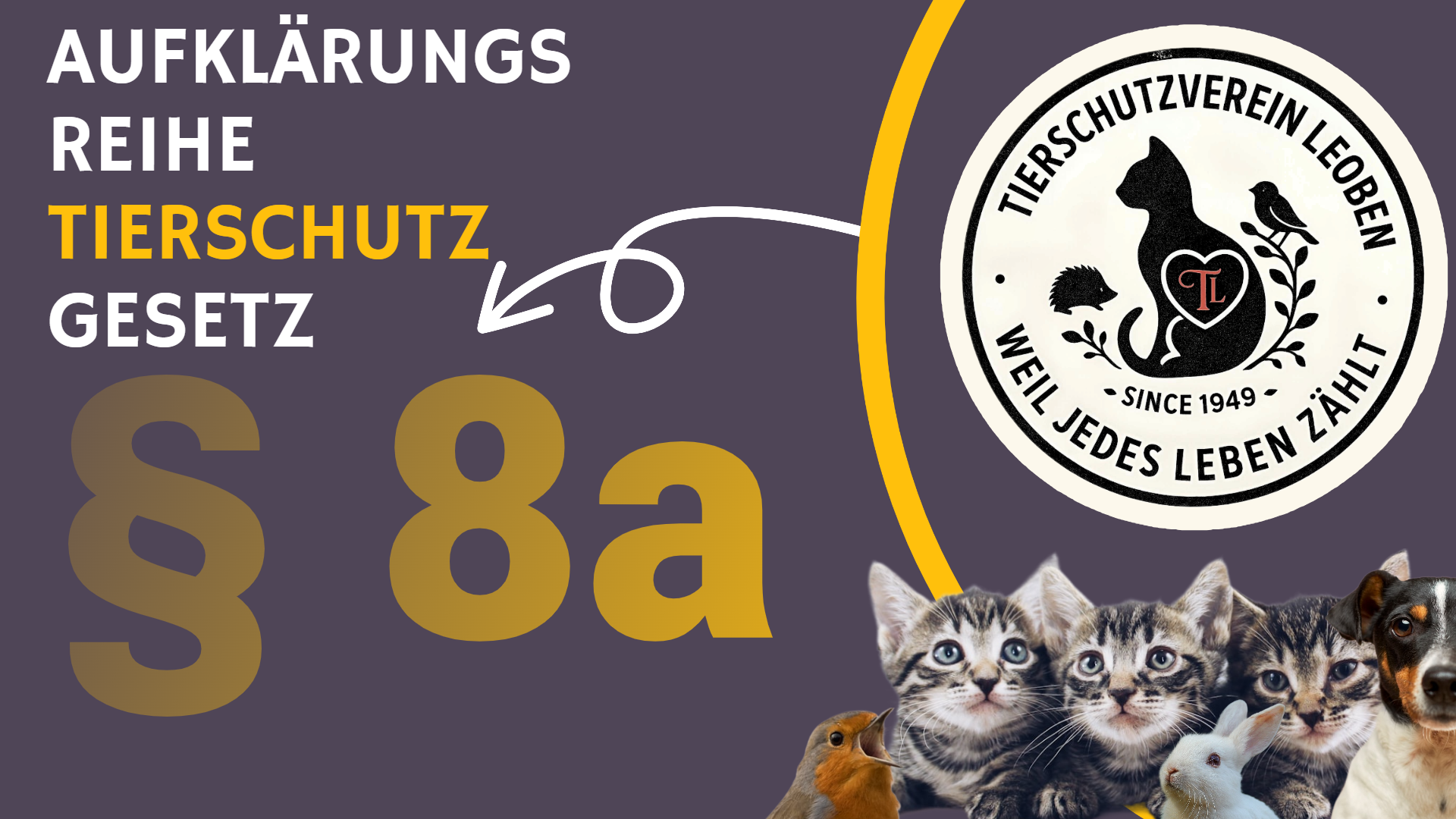 §8a TSchG Verkaufsverbot von Tieren – Tierschutz geht uns alle an