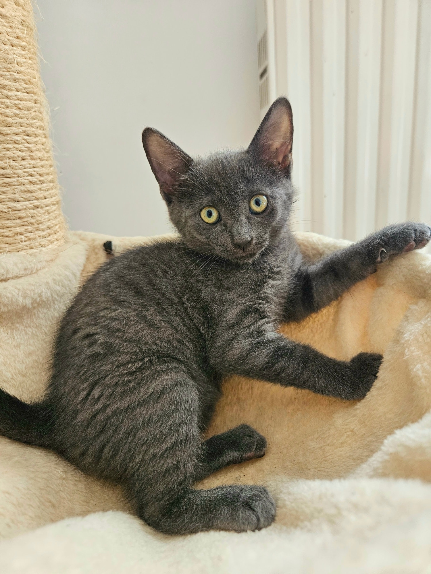 Cleo & Pinsel – Bild 2