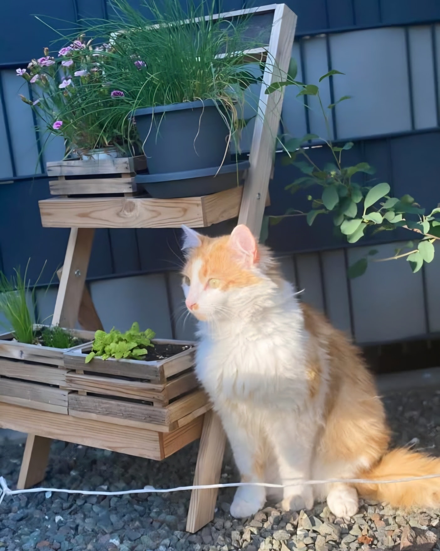 Balou - Madstein – Bild 1