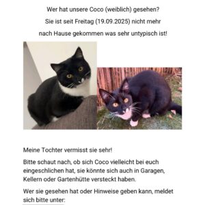 Coco - Trofaiach – Bild 4