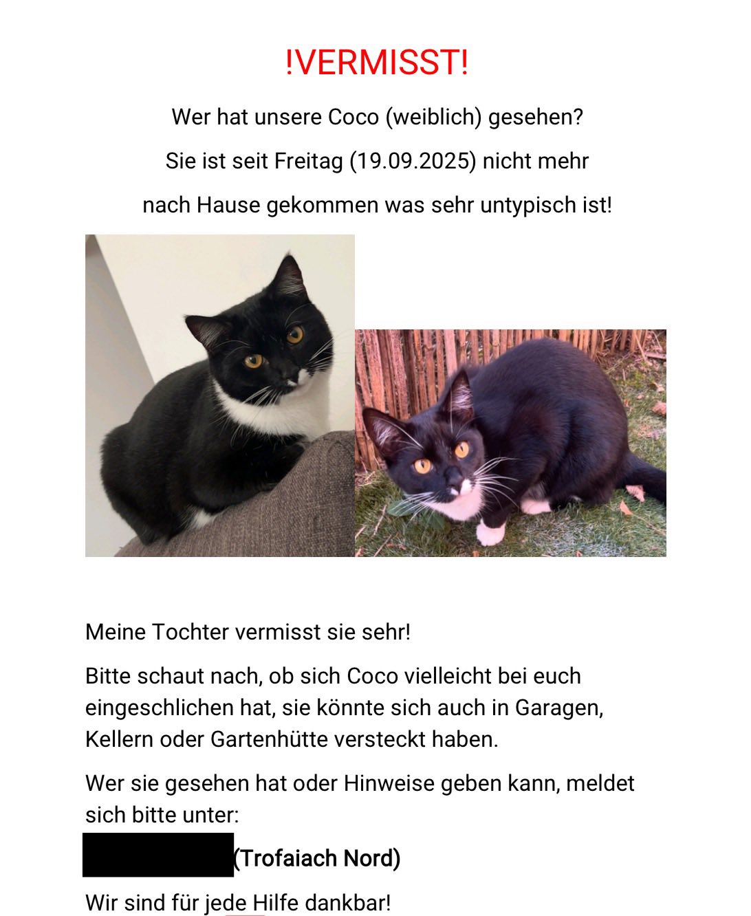 Coco - Trofaiach – Bild 4