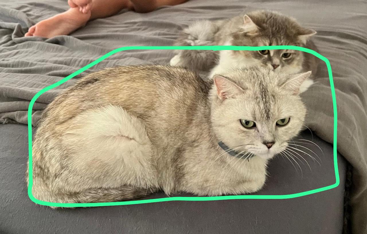 Luna - Leoben – Bild 1