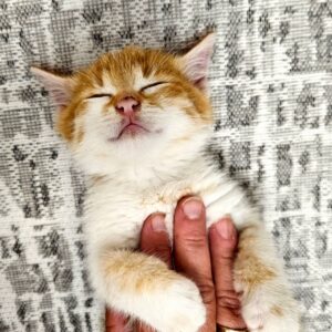 Rocky und Rosalie – Bild 6