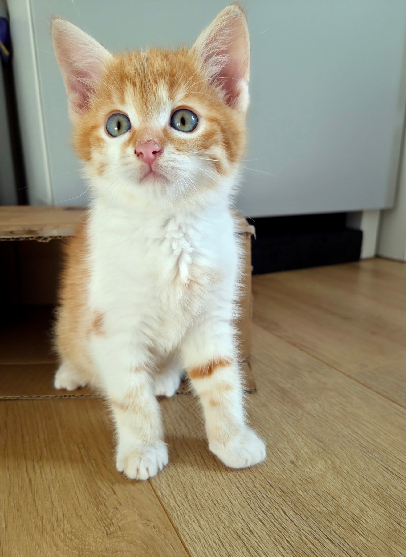 Rocky und Rosalie – Bild 5