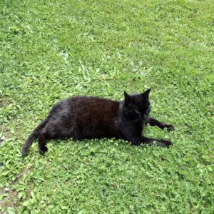 Oskar - Leoben (Wieder Zuhause)