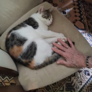 Funny - Eisenerz/Trofeng – Bild 2