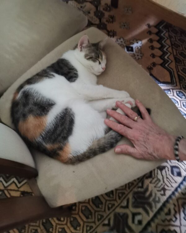 Funny - Eisenerz/Trofeng