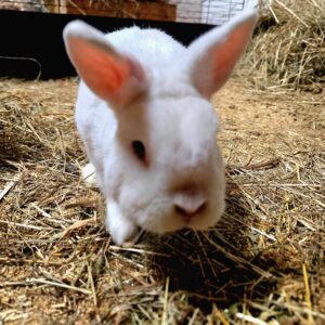 Jimmy und Johnny – Bild 2