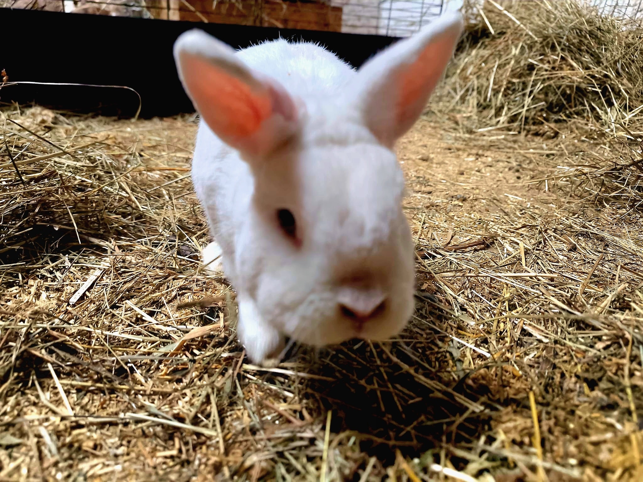 Jimmy und Johnny – Bild 2