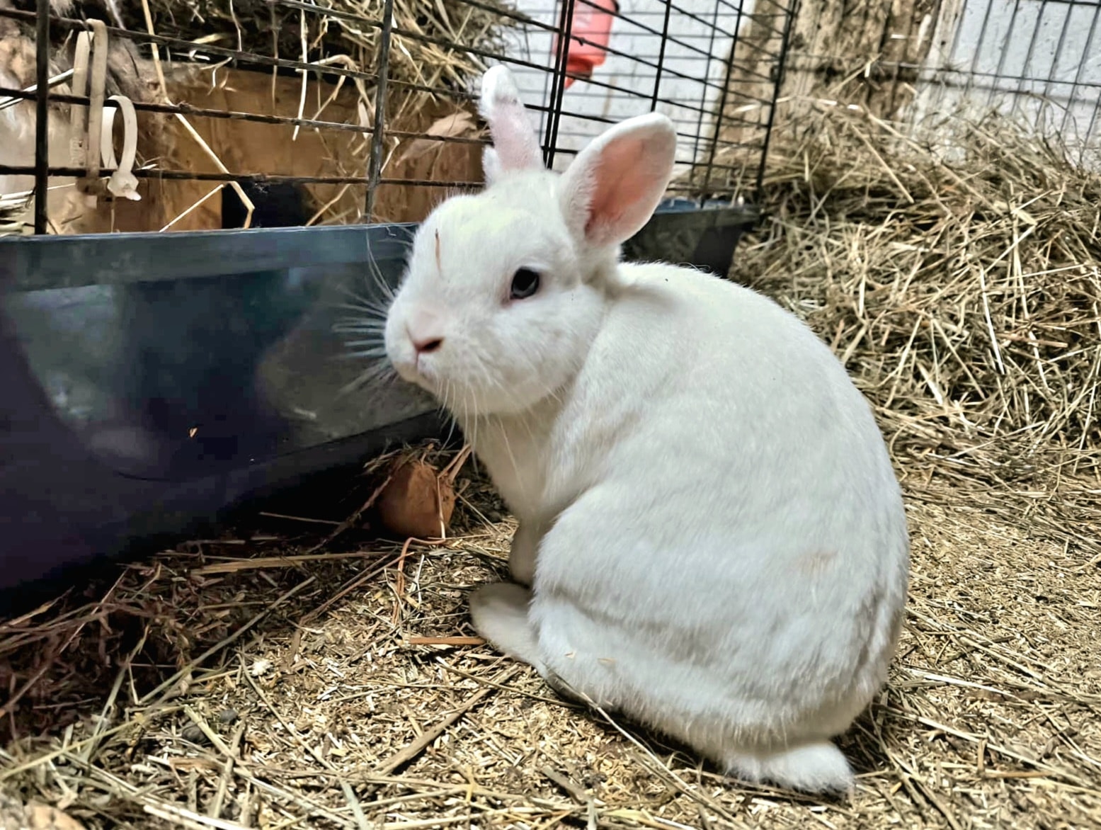 Jimmy und Johnny – Bild 3