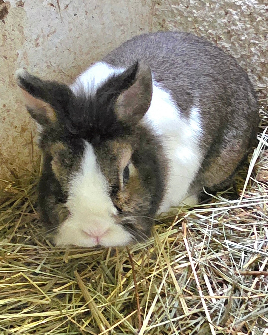 Jimmy und Johnny – Bild 1