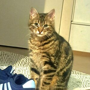 Knödl - 1 Jahr – Bild 2