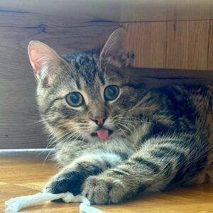 Knödl - 1 Jahr – Bild 4