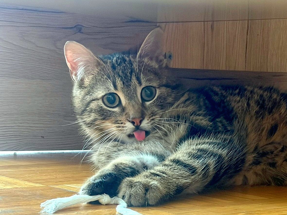 Knödl - 1 Jahr – Bild 4