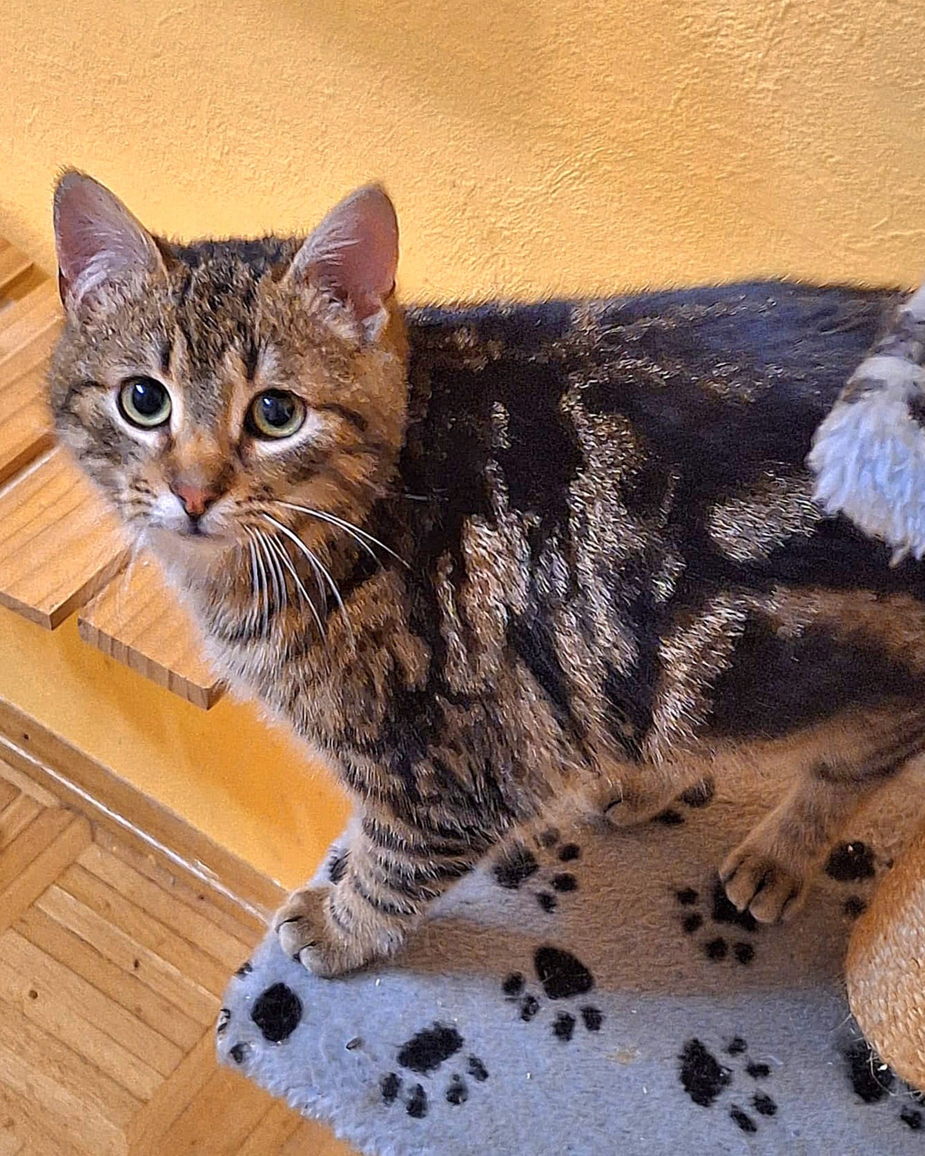 Knödl - 1 Jahr – Bild 1