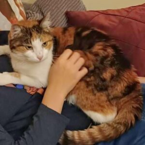 Amy - 10 Jahre – Bild 2