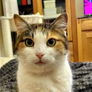 Amy - 10 Jahre – Bild 3