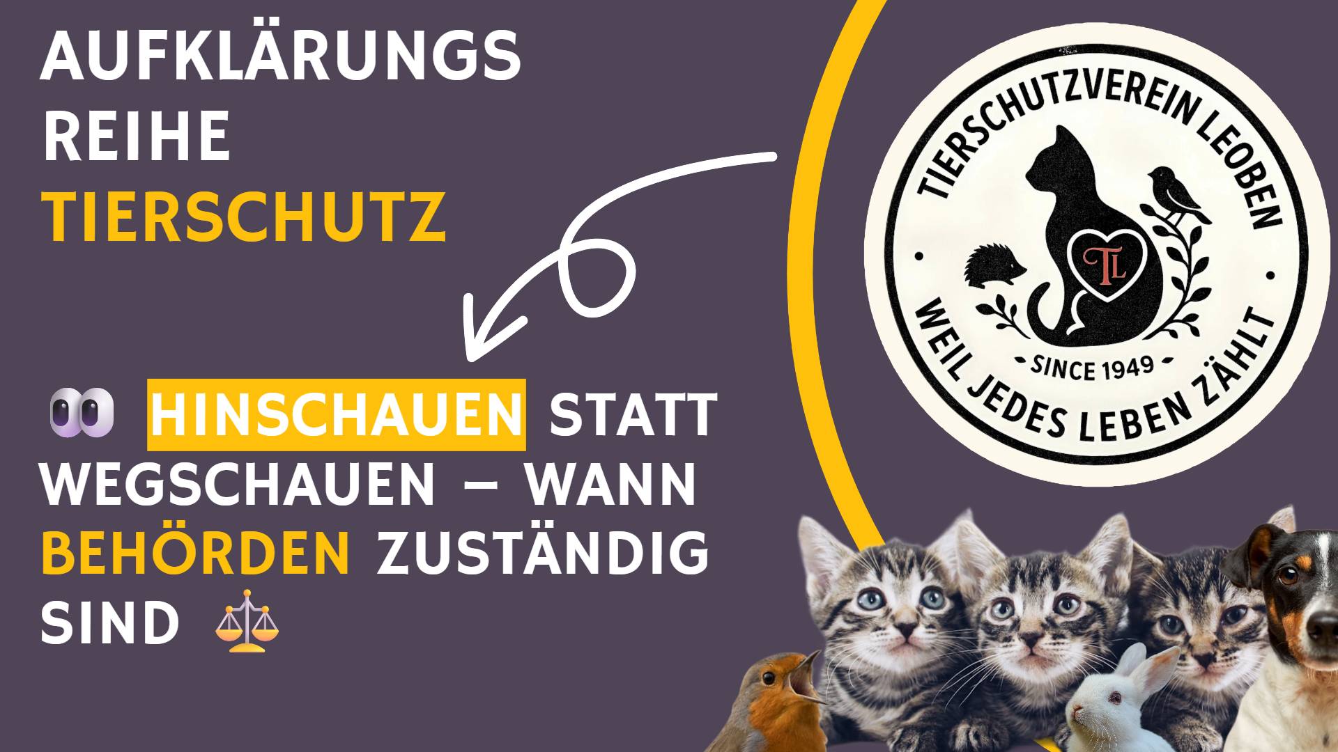 👀 Hinschauen statt wegschauen – wann Behörden zuständig sind
